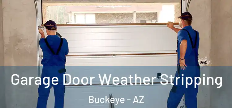  Garage Door Weather Stripping Buckeye - AZ