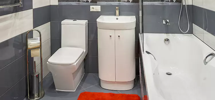 Hansgrohe Shaving Mirror Buckeye