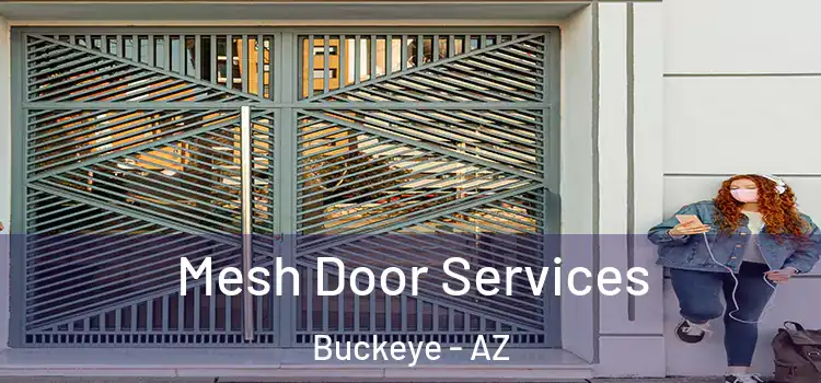 Mesh Door Services Buckeye - AZ