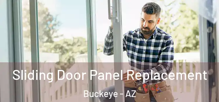  Sliding Door Panel Replacement Buckeye - AZ